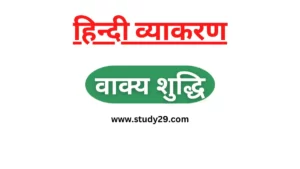 Read more about the article वाक्य शुद्धि