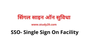 सिंगल साइन ऑन सुविधा