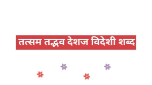तत्सम तद्भव देशज विदेशी शब्द