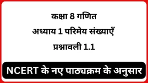 Maths Class 8 Chapter 1